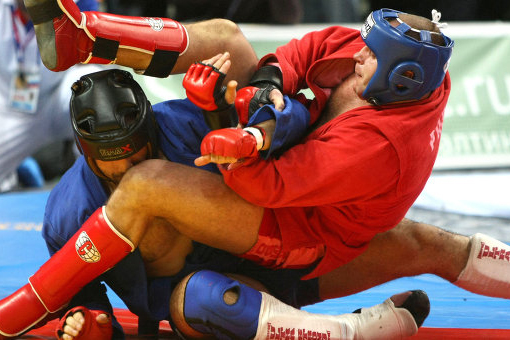 combat_sambo_01